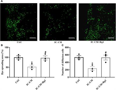 Corrigendum: Ginsenoside Rg1 ameliorates neuroinflammation via suppression of connexin43 ubiquitination to attenuate depression